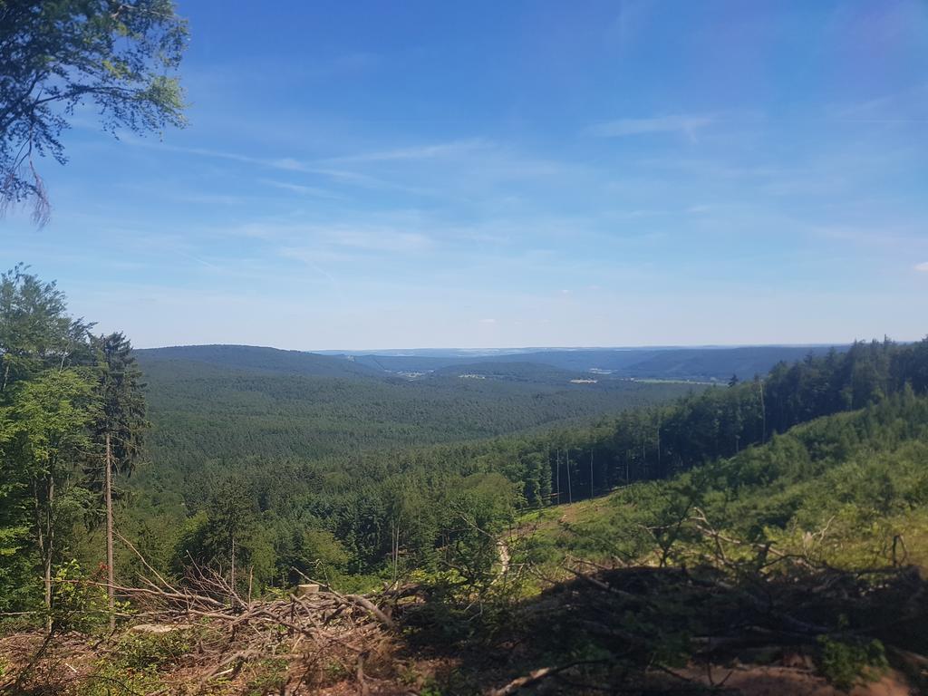 Landgasthof Waldfrieden Otel Wildensee Dış mekan fotoğraf